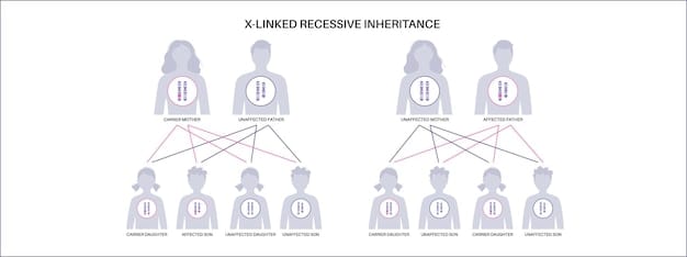 A detailed graphic of  showing a clear cause-and-effect relationship, labeled with short descriptions in white text on a dark, contrasting background. The image should be clean and easy to understand, visually explaining the process.